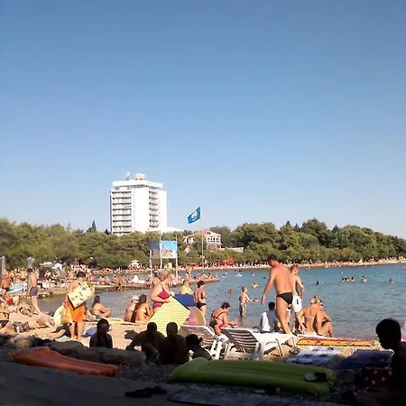 Vodishka *